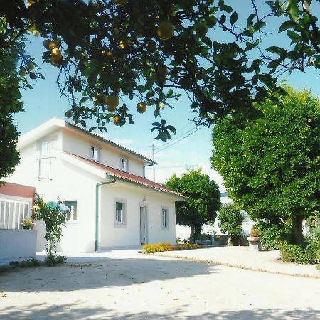 Вілла Casa Quelhas Besteiros Екстер'єр фото